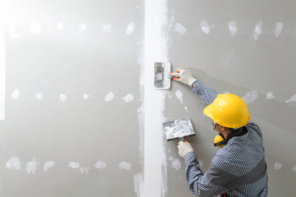Professional Mold Removal in Mission Canyon, CA
