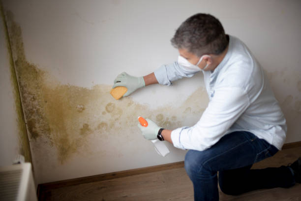 Best Mold Prevention Services  in Mission Nyon, CA