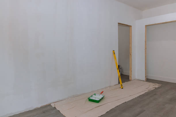 Forensic Mold Investigation in Mission Canyon, CA